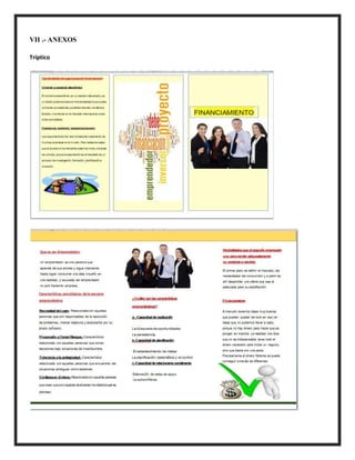 VII .- ANEXOS
Tríptico
 