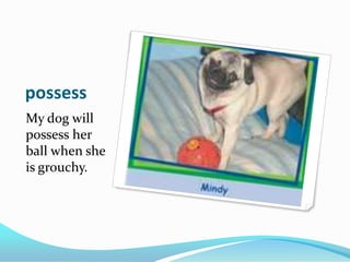 possessMy dog will possess her ball when she is grouchy.