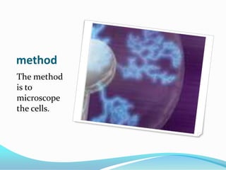methodThe method is to microscope the cells.