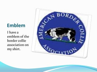 Emblem	I have a emblem of the border collie association on my shirt.