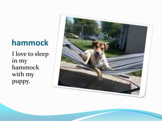 hammockI love to sleep in my hammock with my puppy.