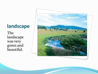 landscapeThe landscape was very green and beautiful.