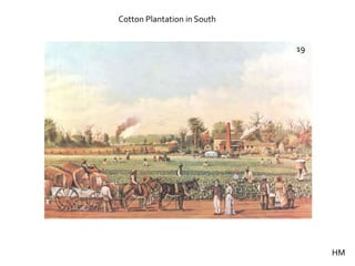 Cotton Plantation in South


                             19




                                  HM
 