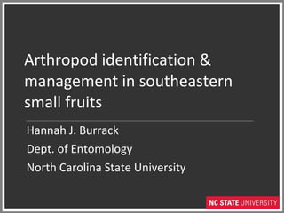 Arthropod identification & management in southeastern small fruits Hannah J. Burrack Dept. of Entomology North Carolina State University 
