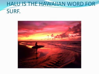 HALU IS THE HAWAIIAN WORD FOR
SURF.
 