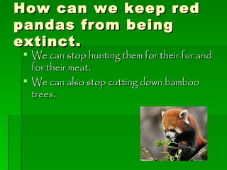 How can we keep red pandas from being extinct. We can stop hunting them for their fur and for their meat . We can also stop cutting down bamboo trees. 