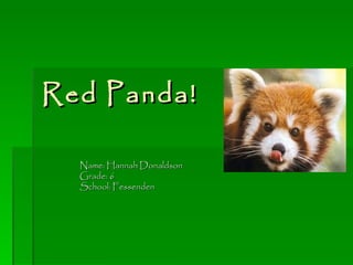 Red Panda! Name: Hannah Donaldson Grade: 6 School: Fessenden 