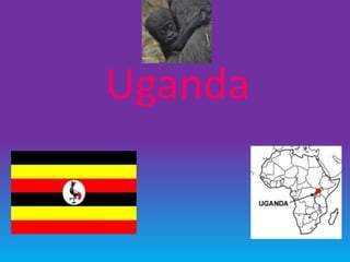 Uganda
 