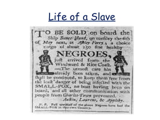 Life of a Slave

 