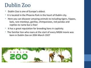Dublin Zoo
•  Dublin Zoo is one of Europe's oldest.
• It is located in the Phoenix Park in the heart of Dublin city.
•  Here you can discover amazing animals to including tigers, hippos, 
bats, rare monkeys, gorillas, chimpanzees, red pandas and 
reptiles to name but a few!
•  It has a great reputation for breeding lions in captivity. 
• The familiar lion who roars at the start of every MGM movie was 
born in Dublin Zoo on 20th March 1927
 