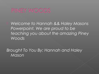 

Welcome to Hannah && Haley Masons
Powerpoint. We are proud to be
teaching you about the amazing Piney
Woods

Brought To You By: Hannah and Haley
Mason

 