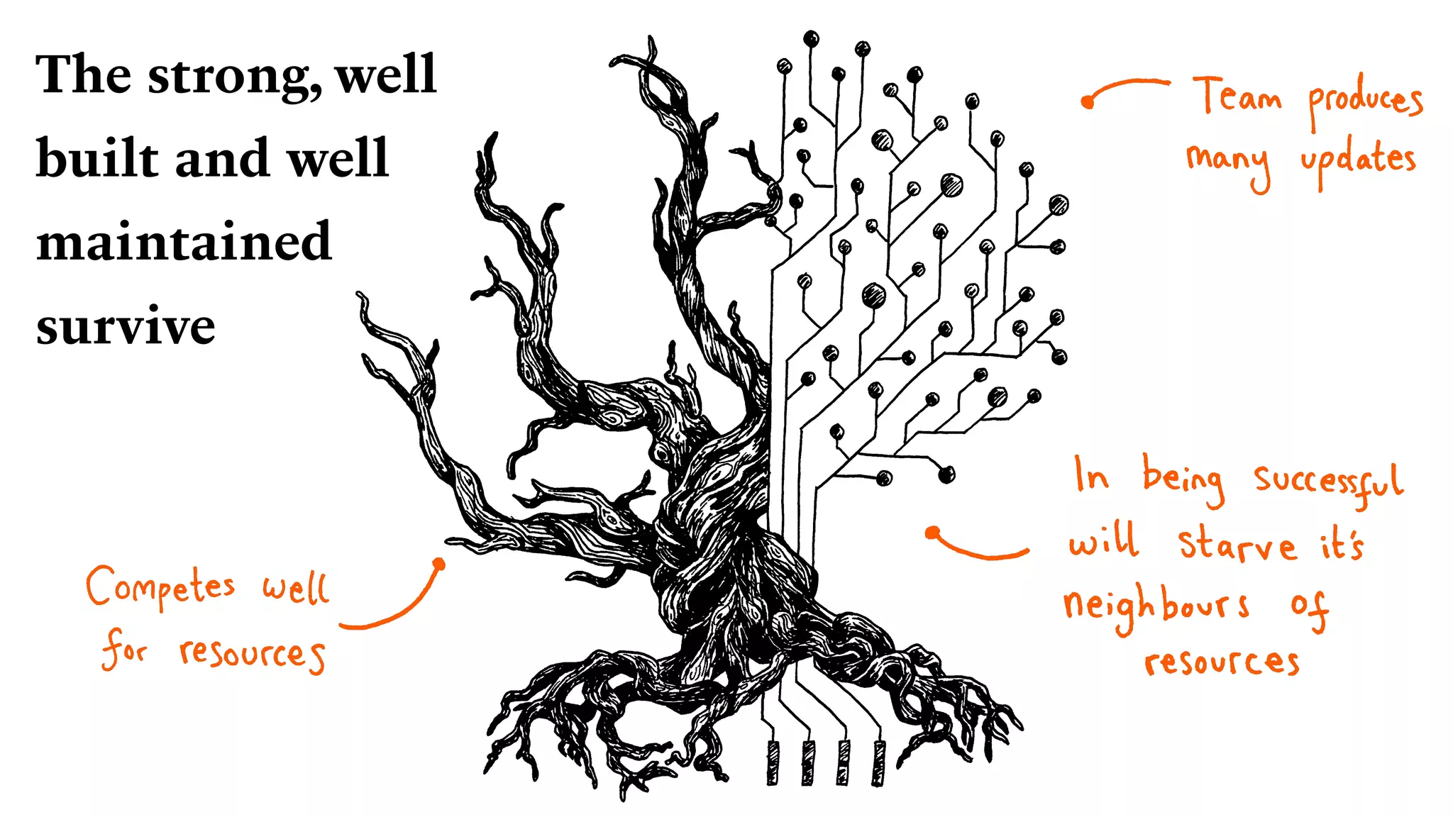 The strong, well
built and well
maintained
survive
 