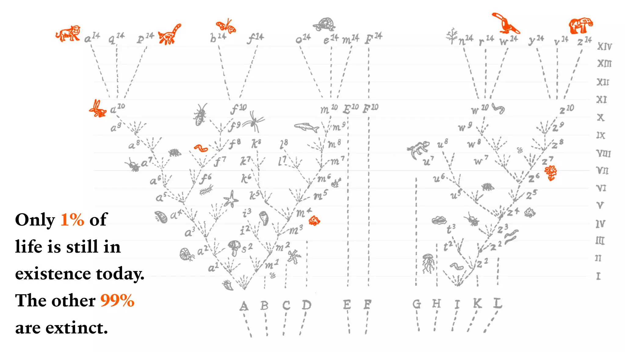 Only 1% of  
life is still in
existence today.
The other 99%
are extinct.
 