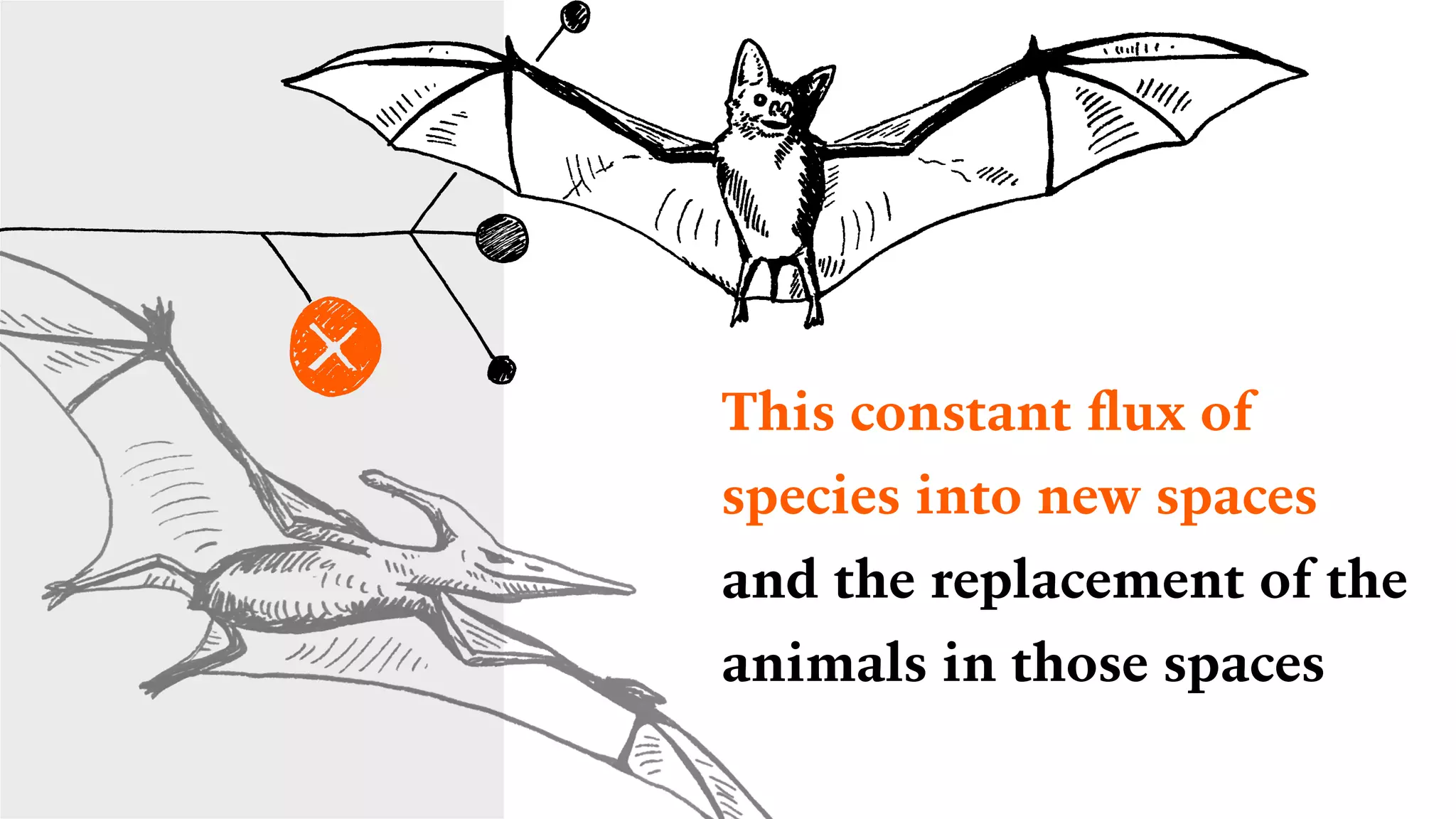 This constant ﬂux of
species into new spaces
and the replacement of the
animals in those spaces
 