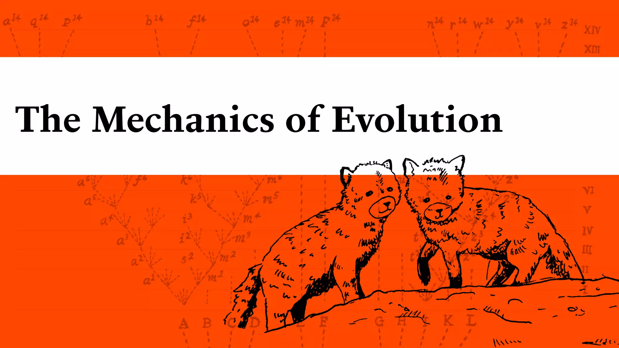The Mechanics of Evolution
 