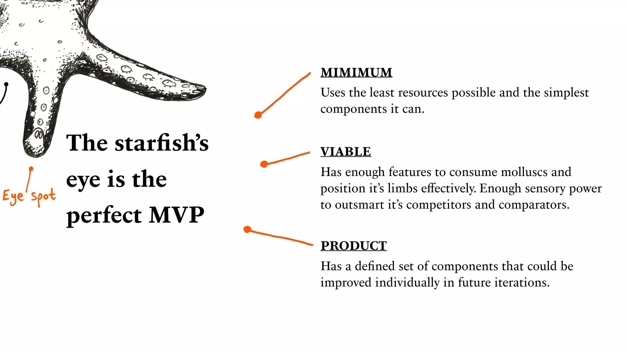 The starﬁsh’s
eye is the
perfect MVP
Uses the least resources possible and the simplest
components it can.
MIMIMUM
Has enough features to consume molluscs and
position it’s limbs eﬀectively. Enough sensory power
to outsmart it’s competitors and comparators.
VIABLE
Has a deﬁned set of components that could be
improved individually in future iterations.
PRODUCT
 