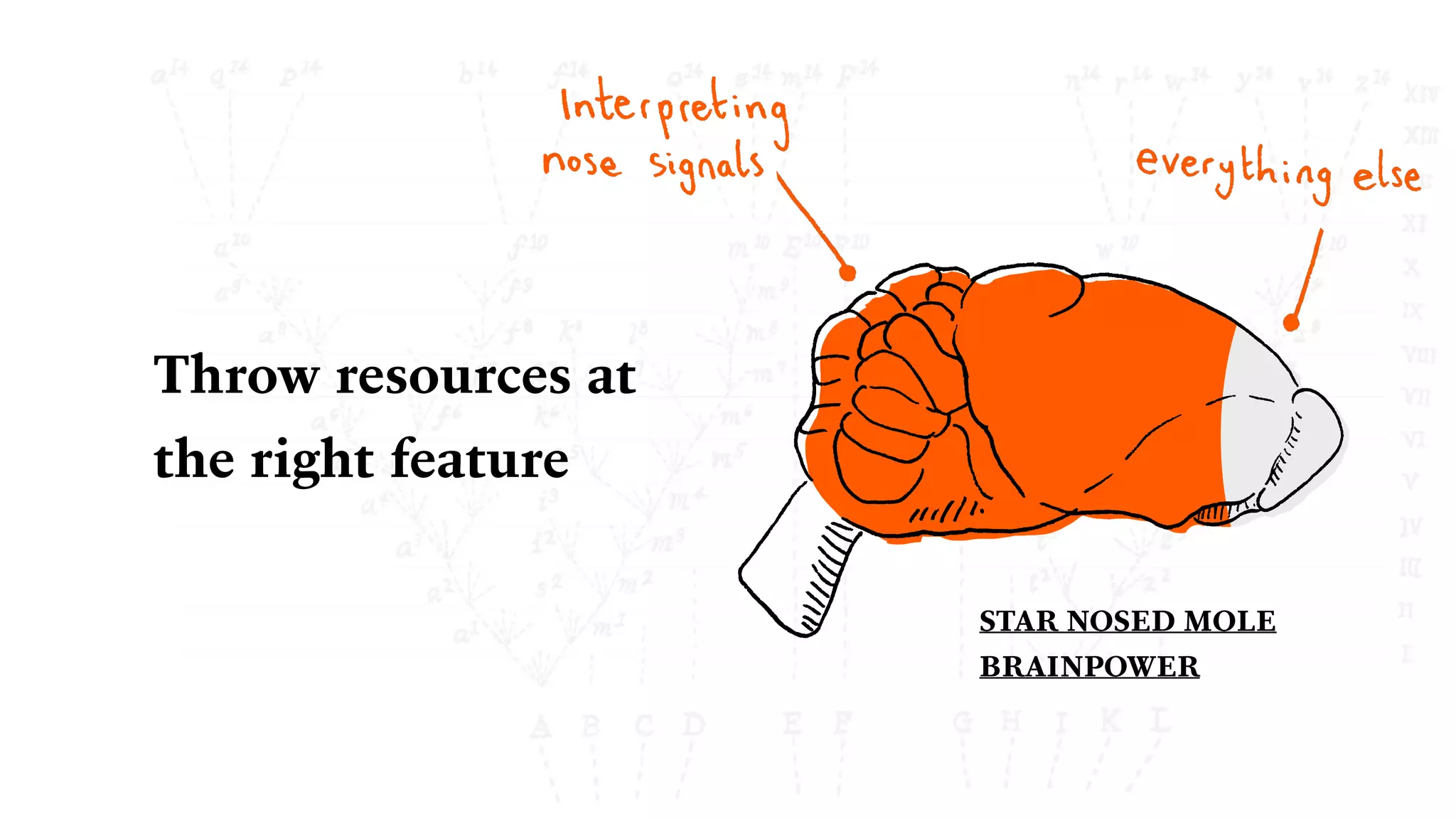 Throw resources at
the right feature
STAR NOSED MOLE
BRAINPOWER
 