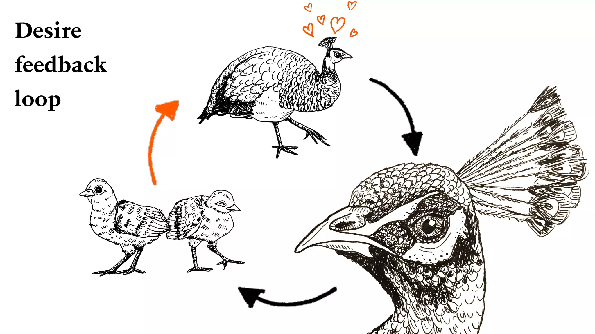 Desire
feedback
loop
 