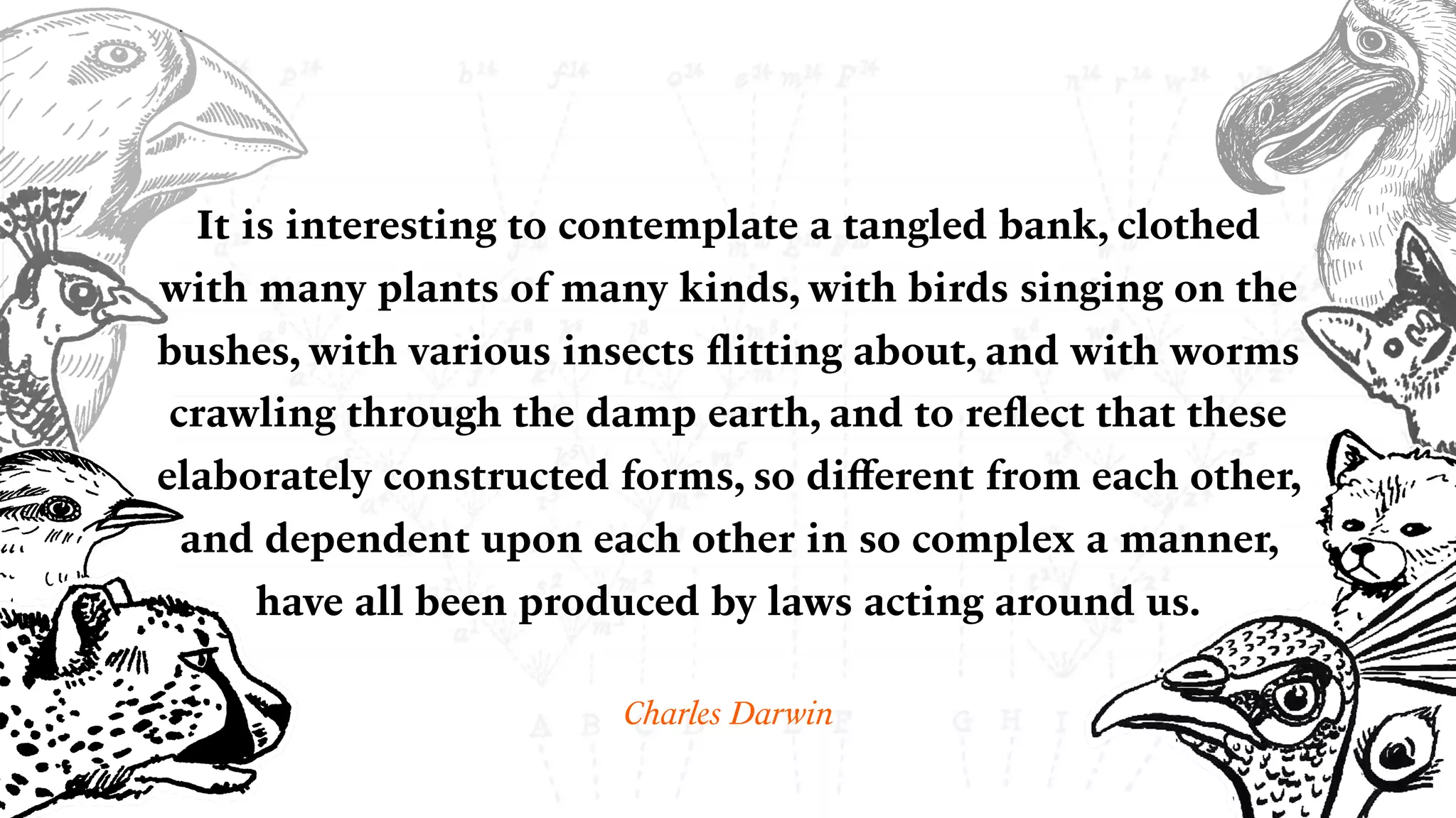 It is interesting to contemplate a tangled bank, clothed
with many plants of many kinds, with birds singing on the
bushes, with various insects ﬂitting about, and with worms
crawling through the damp earth, and to reﬂect that these
elaborately constructed forms, so diﬀerent from each other,
and dependent upon each other in so complex a manner,
have all been produced by laws acting around us.
Charles Darwin
 