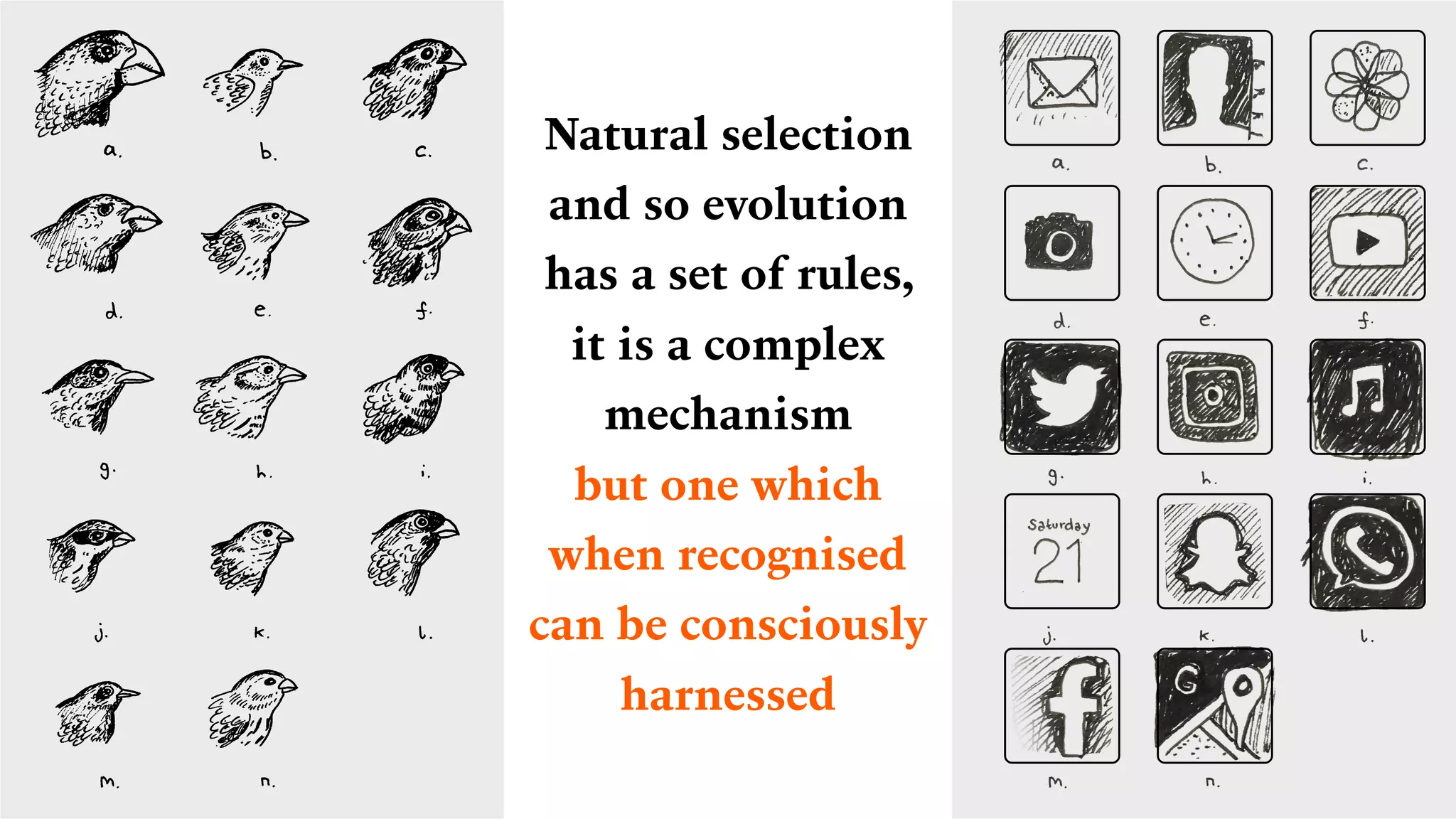 Natural selection
and so evolution
has a set of rules,  
it is a complex
mechanism
but one which  
when recognised
can be consciously
harnessed
 