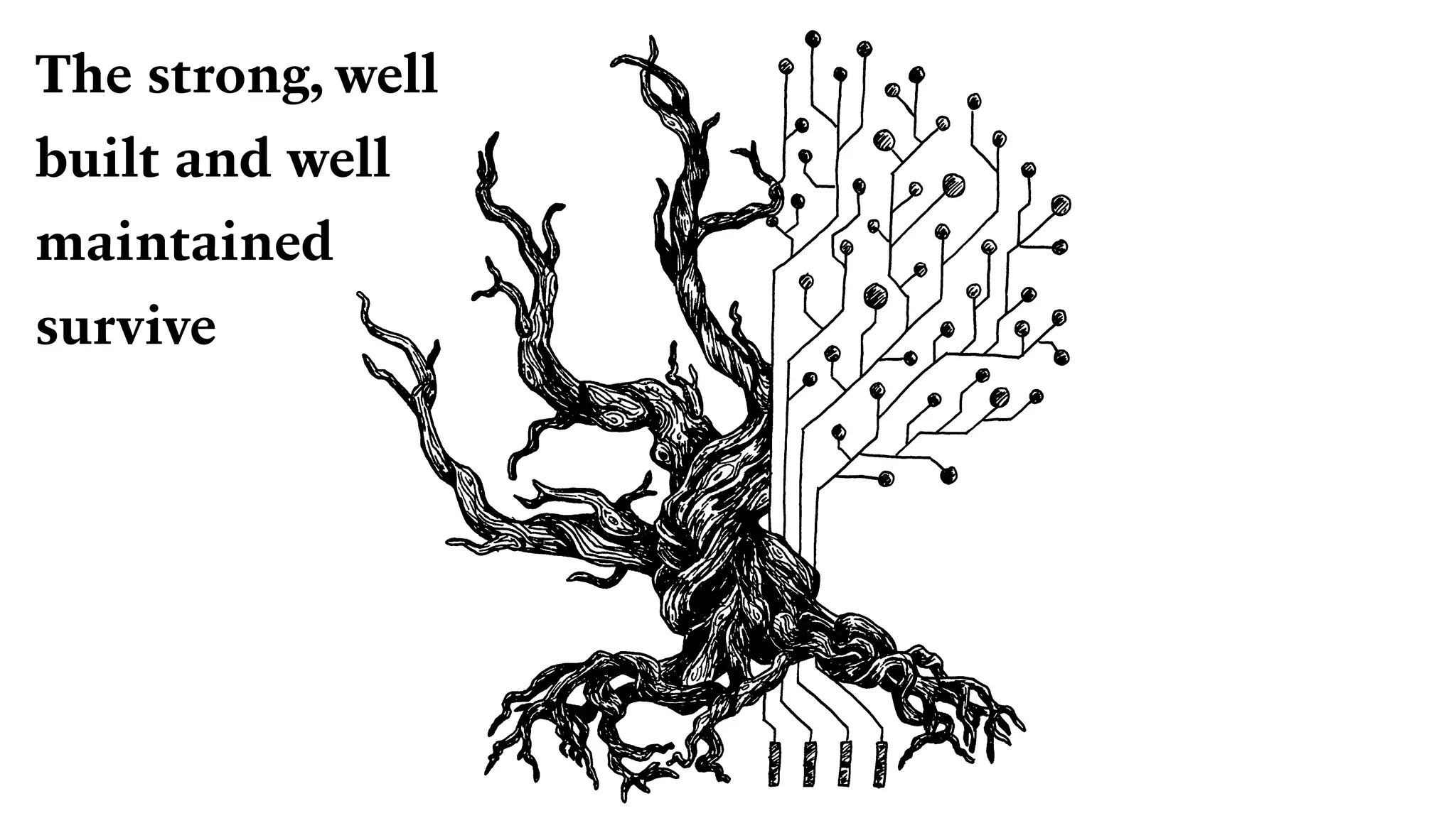 The strong, well
built and well
maintained
survive
 