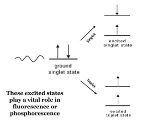 These excited states
play a vital role in
fluorescence or
phosphorescence
 