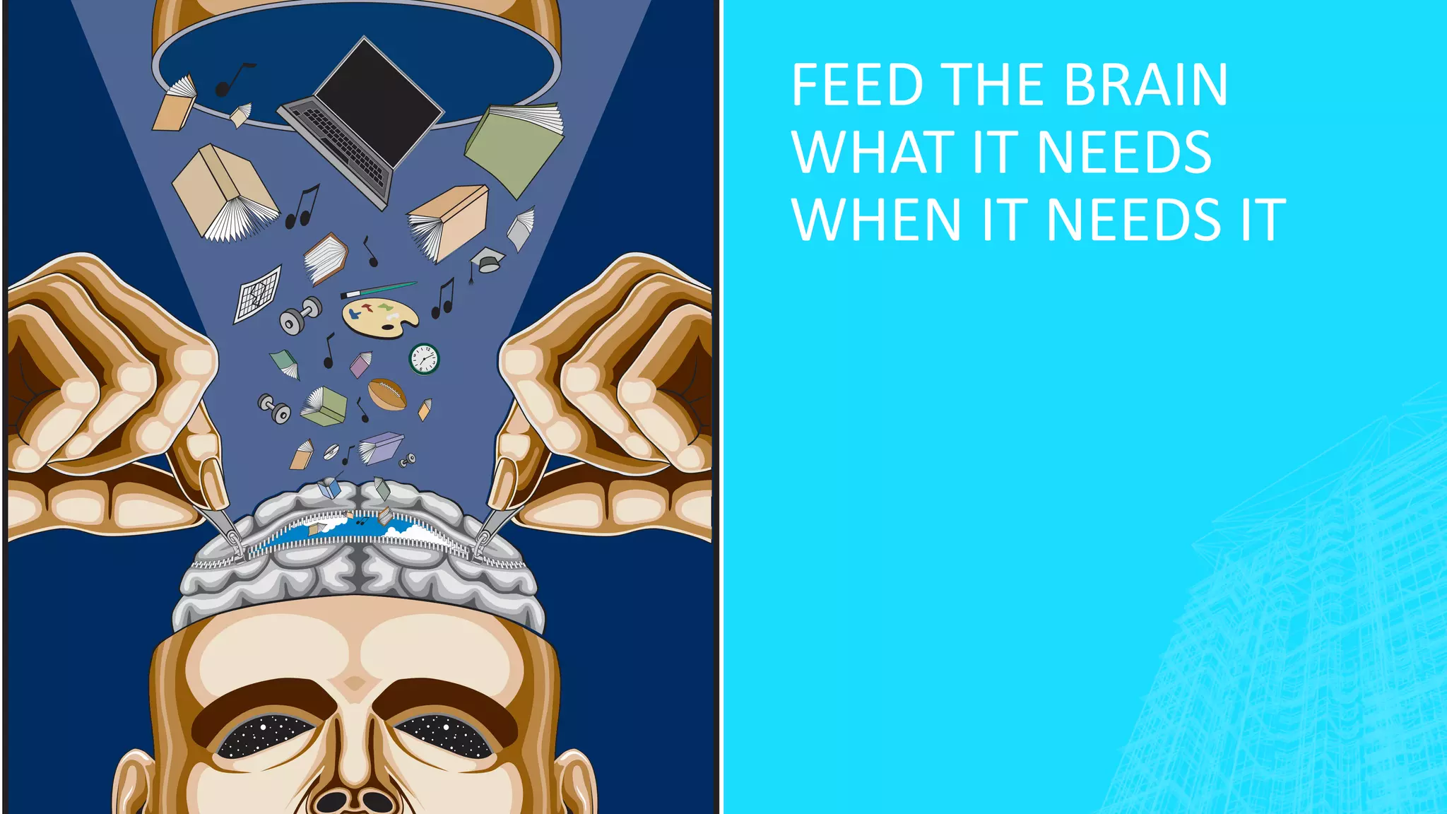 FEED THE BRAIN
WHAT IT NEEDS
WHEN IT NEEDS IT
 