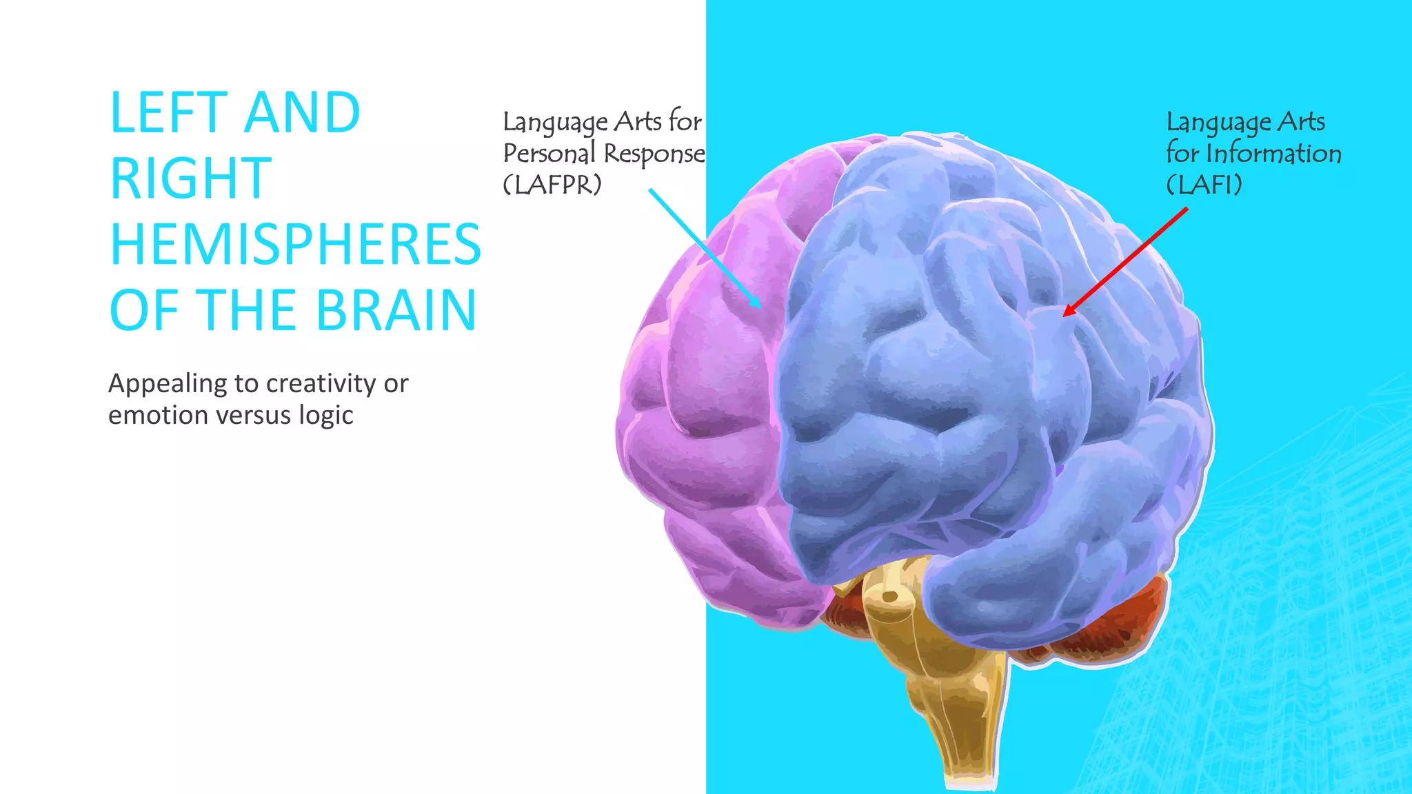 LEFT AND
RIGHT
HEMISPHERES
OF THE BRAIN
Appealing to creativity or
emotion versus logic
Language Arts
for Information
(LAFI)
Language Arts for
Personal Response
(LAFPR)
 