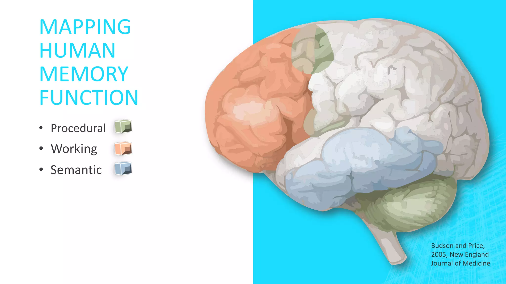 MAPPING
HUMAN
MEMORY
FUNCTION
• Procedural
• Working
• Semantic
Budson and Price,
2005, New England
Journal of Medicine
 