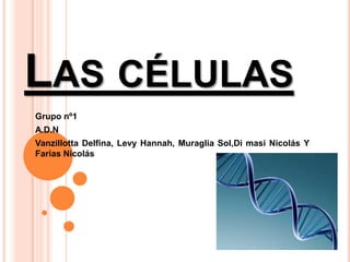 Las células Grupo nº1 A.D.N  Vanzillotta Delfina, Levy Hannah, MuragliaSol,Di masi Nicolás Y Farias Nicolás 