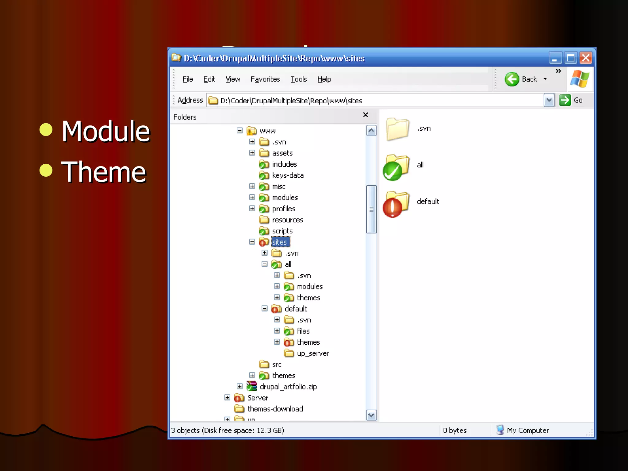Developer Module Theme 
