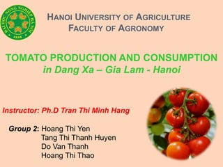 HANOI UNIVERSITY OF AGRICULTURE 
FACULTY OF AGRONOMY 
TOMATO PRODUCTION AND CONSUMPTION 
in Dang Xa – Gia Lam - Hanoi 
Instructor: Ph.D Tran Thi Minh Hang 
Group 2: Hoang Thi Yen 
Tang Thi Thanh Huyen 
Do Van Thanh 
Hoang Thi Thao 
 