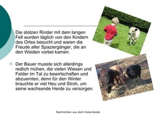 Die stolzen Rinder mit dem langen Fell wurden täglich von den Kindern des Ortes besucht und waren die Freude aller Spaziergänger, die an den Weiden vorbei kamen.  Der Bauer musste sich allerdings redlich mühen, die vielen Wiesen und Felder im Tal zu bewirtschaften und abzuernten, denn für den Winter brauchte er viel Heu und Stroh, um seine wachsende Herde zu versorgen. 