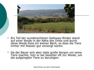 Ein Teil der wunderschönen Galloway-Rinder stand auf einer Weide in der Nähe des Ortes und durch diese Weide floss ein kleiner Bach, so dass die Tiere immer mit Wasser gut versorgt waren. Da der Bauer sich aber stets große Sorgen um seine Tiere machte, fuhr er bei Gewitter oft zur Weide, um die aufgeregten Tiere zu beruhigen. 