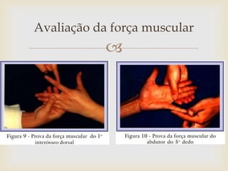 Avaliação da força muscular
            
 