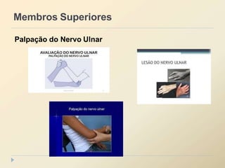 Membros Superiores
Palpação do Nervo Ulnar
 