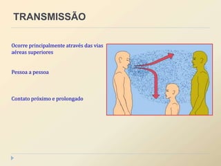 TRANSMISSÃO
Ocorre principalmente através das vias
aéreas superiores
Pessoa a pessoa
Contato próximo e prolongado
 