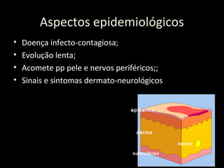 Aspectos epidemiológicos
• Doença infecto-contagiosa;
• Evolução lenta;
• Acomete pp pele e nervos periféricos;;
• Sinais e sintomas dermato-neurológicos
epiderme
derme
subcutâneo
nervo
 