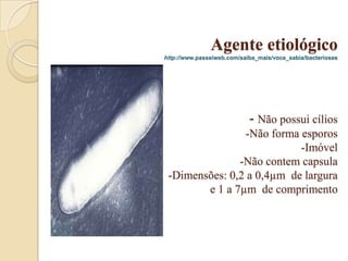 Agente etiológico
http://www.passeiweb.com/saiba_mais/voce_sabia/bacterioses

- Não possui cílios
-Não forma esporos
-Imóvel
-Não contem capsula
-Dimensões: 0,2 a 0,4µm de largura
e 1 a 7µm de comprimento

 