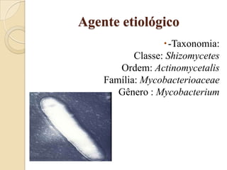 Agente etiológico
-Taxonomia:
Classe: Shizomycetes
Ordem: Actinomycetalis
Família: Mycobacterioaceae
Gênero : Mycobacterium

 