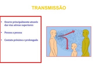 • Ocorre principalmente através
das vias aéreas superiores
• Pessoa a pessoa
• Contato próximo e prolongado
TRANSMISSÃO
 