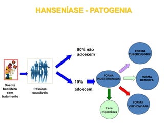Doente
bacilífero
sem
tratamento
Pessoas
saudáveis
90% não
adoecem
10%
adoecem
Cura
FORMA
TUBERCULÓIDE
FORMA
DIMORFA
FORMA
VIRCHOWIANA
Cura
espontânea
FORMA
INDETERMINADA
HANSENÍASE - PATOGENIA
 