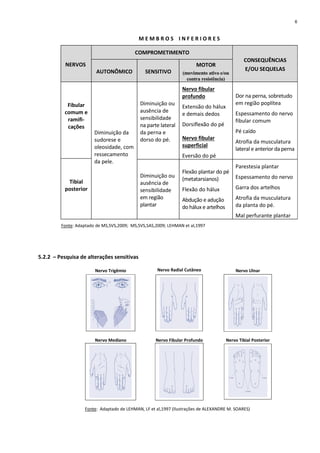 M E M B R O S I N F E R I O R E S
NERVOS
COMPROMETIMENTO
AUTONÔMICO SENSITIVO
MOTOR
(movimento ativo e/ou
contra resistência)
CONSEQUÊNCIAS
E/OU SEQUELAS
Fibular
comum e
ramifi-
cações
Tibial
posterior
Diminuição da
sudorese e
oleosidade, com
ressecamento
da pele.
Diminuição ou
ausência de
sensibilidade
na parte lateral
da perna e
dorso do pé.
Nervo fibular
profundo
Extensão do hálux
e demais dedos
Dorsiflexão do pé
Nervo fibular
superficial
Eversão do pé
Dor na perna, sobretudo
em região poplítea
Espessamento do nervo
fibular comum
Pé caído
Atrofia da musculatura
lateral e anterior da perna
Diminuição ou
ausência de
sensibilidade
em região
plantar
Flexão plantar do pé
(metatarsianos)
Flexão do hálux
Abdução e adução
do hálux e artelhos
Parestesia plantar
Espessamento do nervo
Garra dos artelhos
Atrofia da musculatura
da planta do pé.
Mal perfurante plantar
Fonte: Adaptado de MS,SVS,2009; MS,SVS,SAS,2009; LEHMAN et al,1997
5.2.2 – Pesquisa de alterações sensitivas
Nervo Trigêmio Nervo Radial Cutâneo Nervo Ulnar
Nervo Mediano Nervo Fibular Profundo Nervo Tibial Posterior
Fonte: Adaptado de LEHMAN, LF et al,1997 (Ilustrações de ALEXANDRE M. SOARES)
6
 