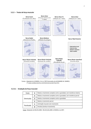5.2.3 – Testes de força muscular
Nervo Facial
(Fechamento dos olhos)
Nervo Ulnar
(Posição intrínseca do
5º dedo)
Nervo Ulnar (*)
(Abdução do 2º dedo)
Nervo Ulnar
(Abdução do 5º dedo)
Nervo Radial
(Extensão do Punho)
Nervo Mediano
(Abdução do polegar)
Nervo Tibial Posterior
Nervo Fibular Profundo
(Extensão do hálux)
Nervo Fibular Profundo
(Extensão dos Artelho )
Nervo Fibular
Profundo
(Dorsiflexão do pé)
Nervo Fibular Superficial
(Eversão do pé)
Fontes: Adaptado de LEHMAN, LF et al, 1997 (Ilustrações de ALEXANDRE M. SOARES)
(*) www.auladeanatomia.com/sistemamuscular/mao.htm
5.2.3.1 - Gradação da força muscular
Forte 5 Realiza o movimento completo contra a gravidade, com resistência máxima
Diminuída
4 Realiza o movimento completo contra a gravidade, com resistência parcial
3 Realiza o movimento completo contra a gravidade
2 Realiza o movimento parcial
Paralisada
1 Contração muscular sem movimento
0 Paralisia (nenhum movimento)
Fonte: Adaptado de MS,SVS,2009; MS,SVS,SAS,2009; LEHMAN et al,1997.
- Flexão plantar do pé
- Flexão do hálux
- Abdução e adução do
hálux e artelhos
7
 