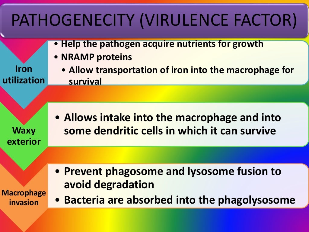 Hansen disease medical microbiology presentation by Ruth Naomi Manuel