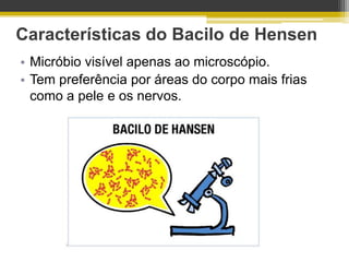 Características do Bacilo de Hensen
• Micróbio visível apenas ao microscópio.
• Tem preferência por áreas do corpo mais frias
  como a pele e os nervos.
 