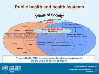 Primary Health Care, Objectives, Principles and Policy Directions | PDF