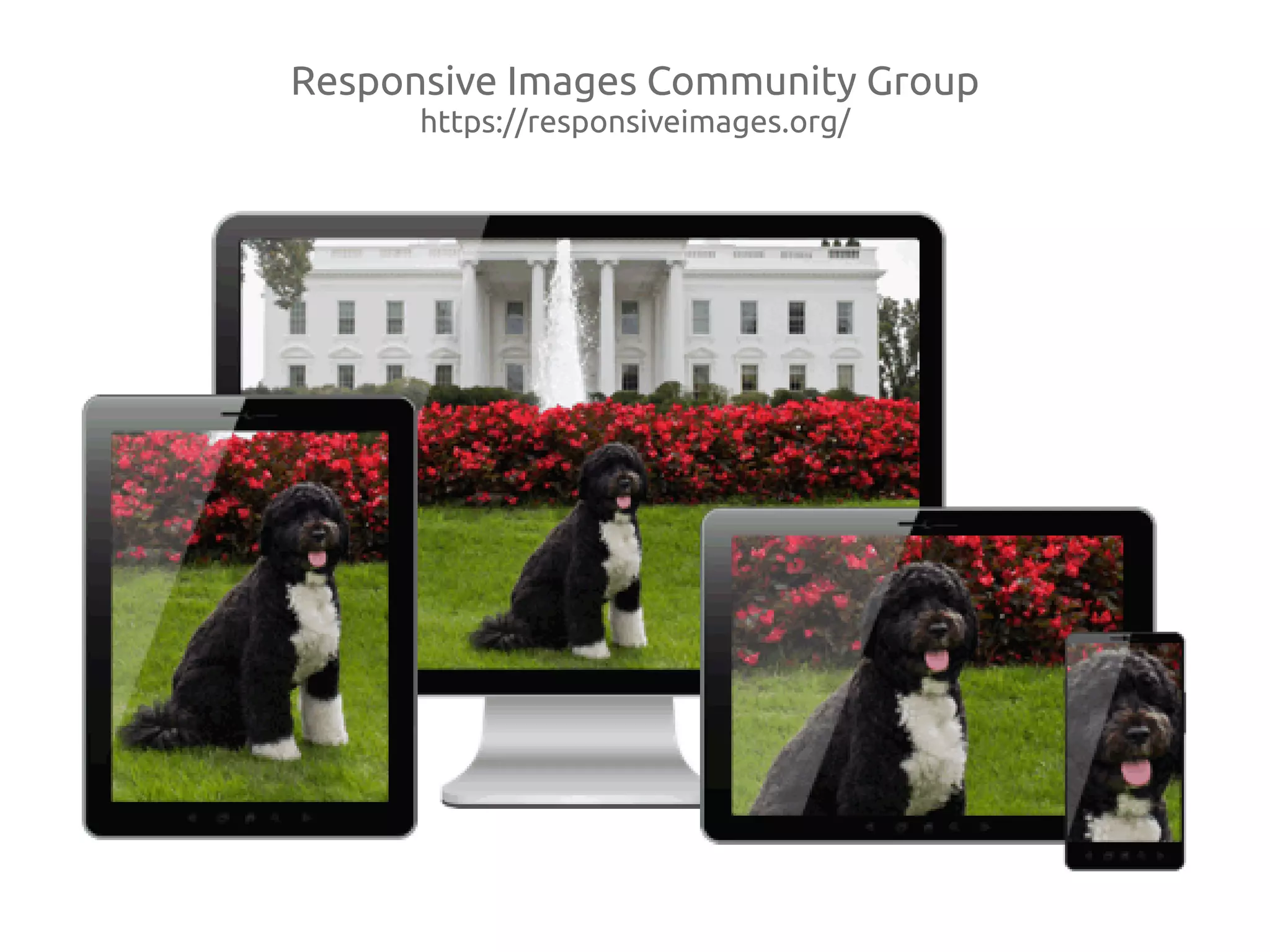 Responsive Images Community Group
https://responsiveimages.org/
 