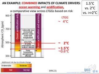 Additional risk due to climate change
AN EXAMPLE: COMBINED IMPACTS OF CLIMATE DRIVERS:
ocean warming and acidification,
a comparative view across LTGGs based on risk
0.6°C~
~ 4°C
LTGG
2°C~
1.5°C~
1.5°C
vs. 2°C
vs. >>2°C
SYR 2.5
 