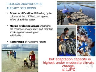 • Ocean acidification: Defending oyster
cultures at the US Westcoast against
inflow of acidified water.
• Marine Protected Areas: Enhancing
the resilience of coral reefs and their fish
stocks against warming and
acidification.
• Restoration of Mangrove Forests
ALREADY OCCURRING
REGIONAL ADAPTATION IS
…but adaptation capacity is
highest under moderate climate
change,
≤ 1.5°C
 